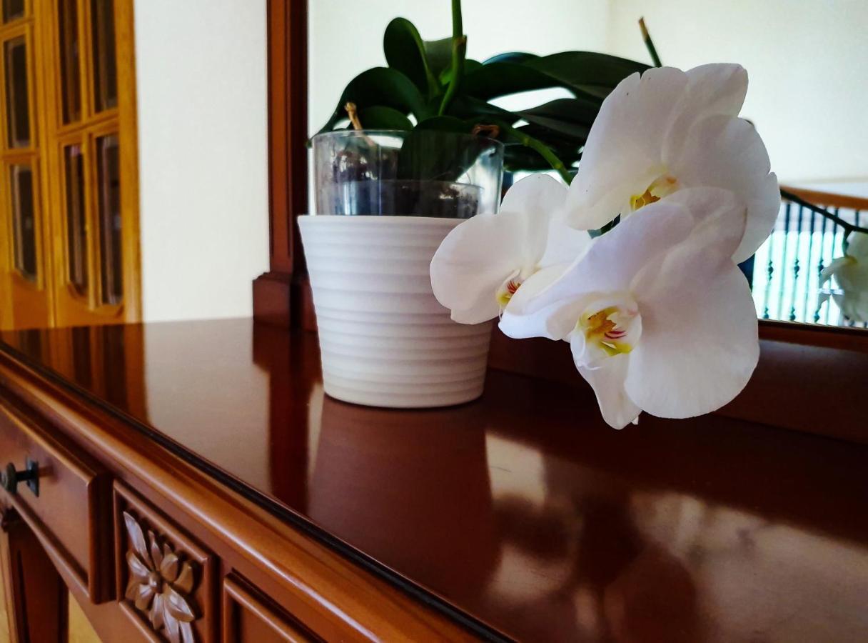 ל'אלפאס דל פי Villa Tres Palmeras En Alfaz Del Pi , Albir, Benidorm מראה חיצוני תמונה