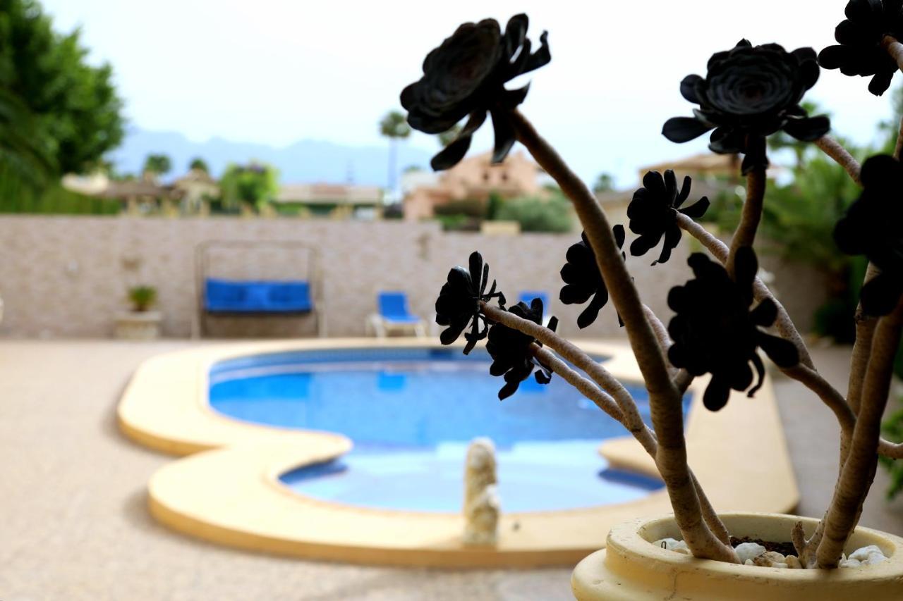 ל'אלפאס דל פי Villa Tres Palmeras En Alfaz Del Pi , Albir, Benidorm מראה חיצוני תמונה