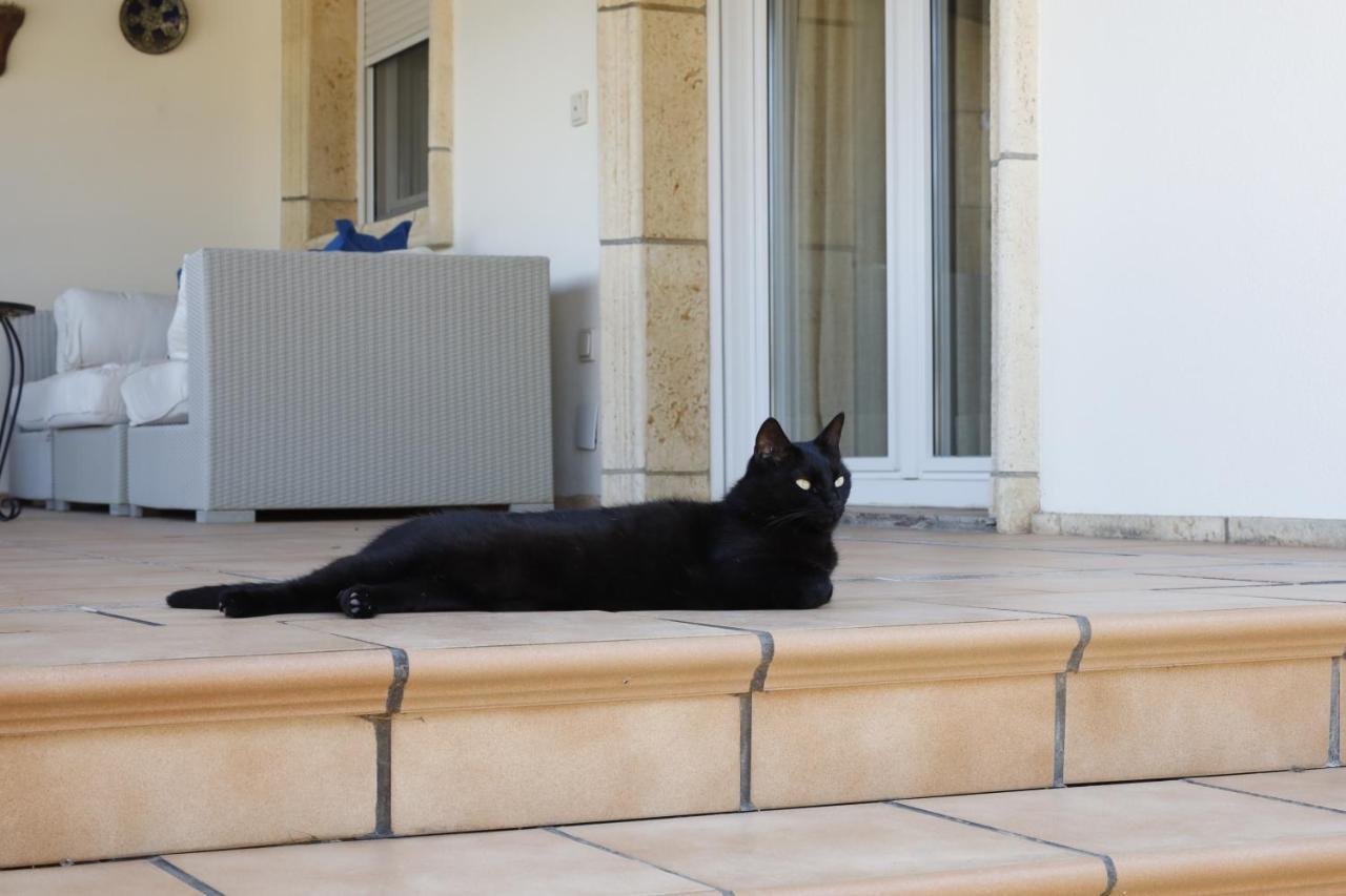 ל'אלפאס דל פי Villa Tres Palmeras En Alfaz Del Pi , Albir, Benidorm מראה חיצוני תמונה
