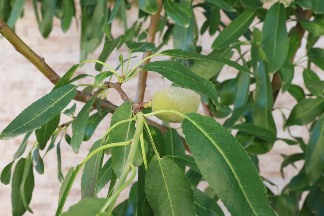 ל'אלפאס דל פי Villa Tres Palmeras En Alfaz Del Pi , Albir, Benidorm מראה חיצוני תמונה