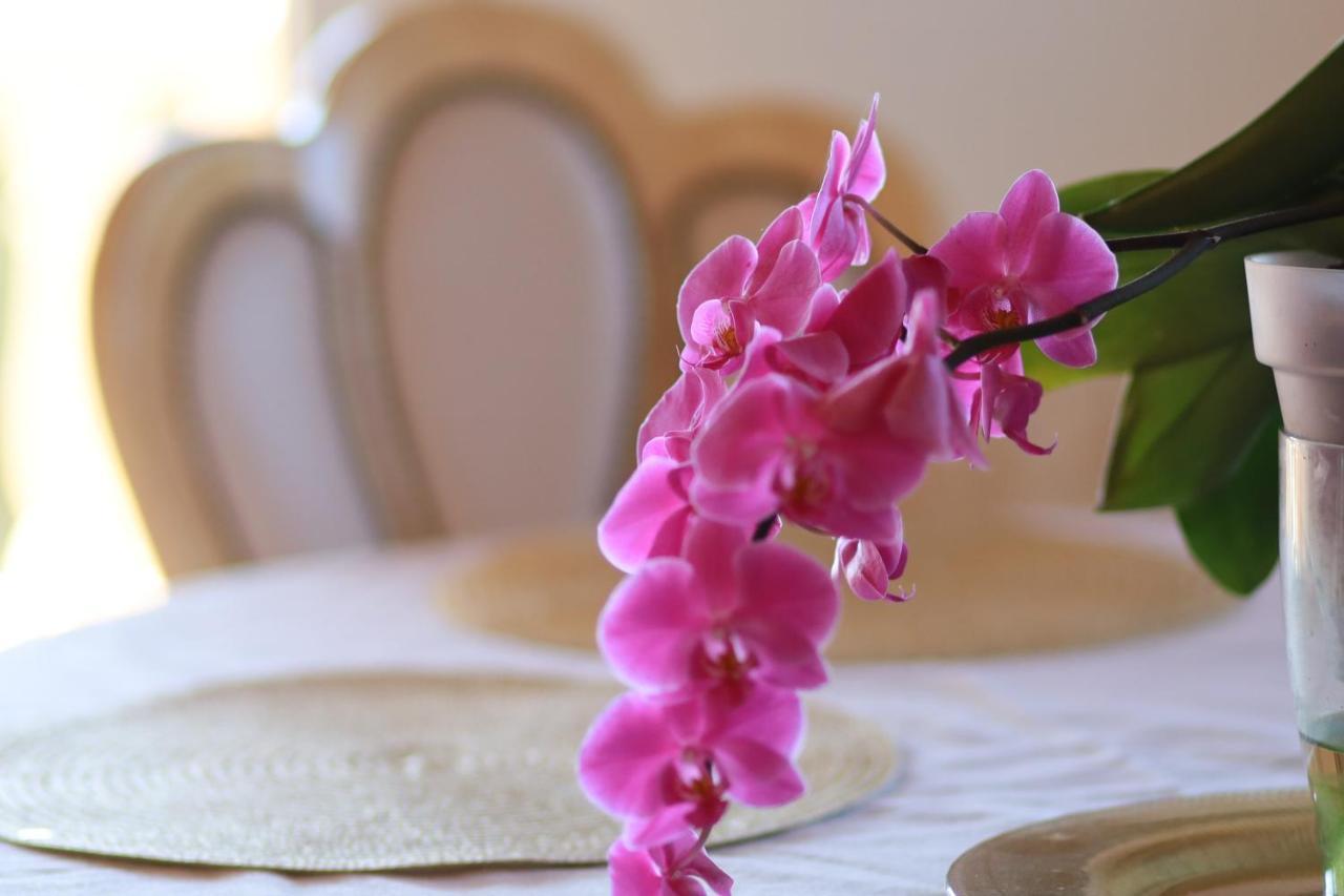 ל'אלפאס דל פי Villa Tres Palmeras En Alfaz Del Pi , Albir, Benidorm מראה חיצוני תמונה